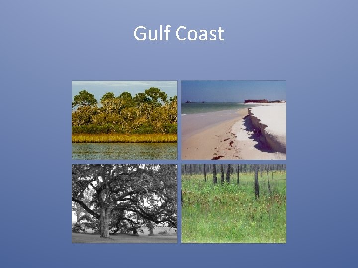 Gulf Coast 