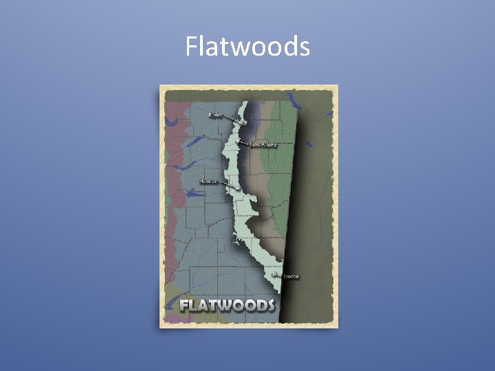 Flatwoods 