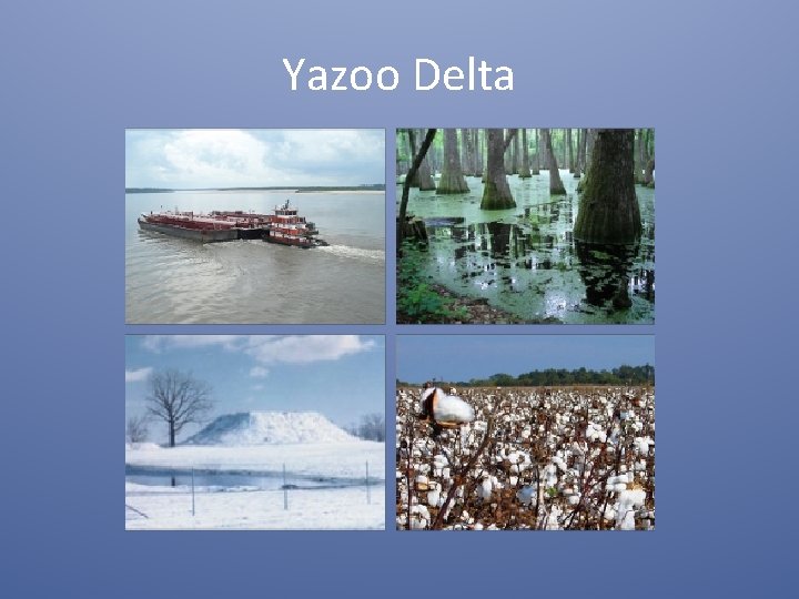 Yazoo Delta 