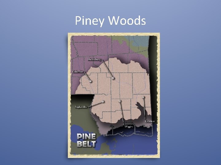 Piney Woods 