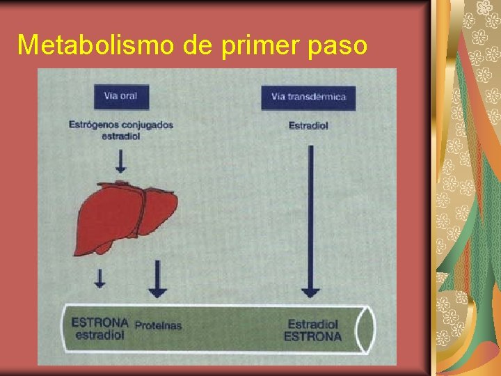 Metabolismo de primer paso 