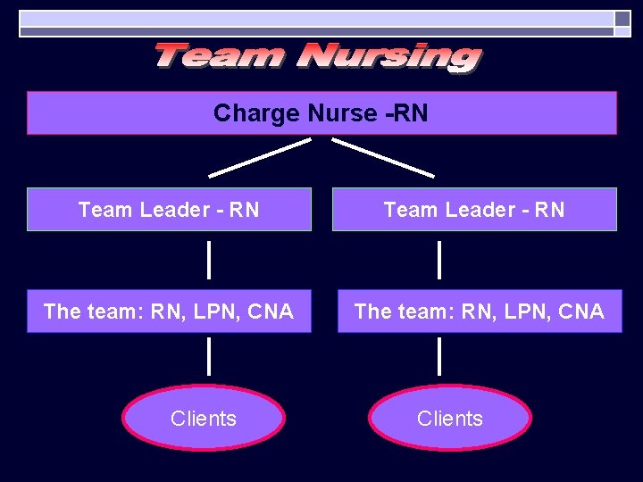 Charge Nurse -RN Team Leader - RN The team: RN, LPN, CNA Clients 