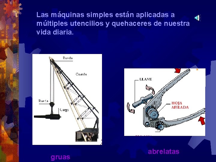 Las máquinas simples están aplicadas a múltiples utencilios y quehaceres de nuestra vida diaria.