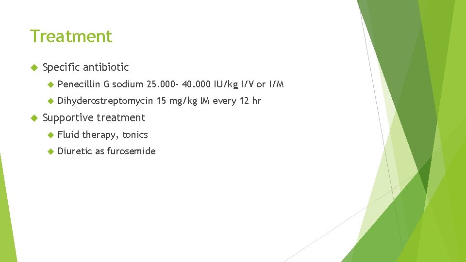 Treatment Specific antibiotic Penecillin G sodium 25. 000 - 40. 000 IU/kg I/V or Treatment Specific antibiotic Penecillin G sodium 25. 000 - 40. 000 IU/kg I/V or