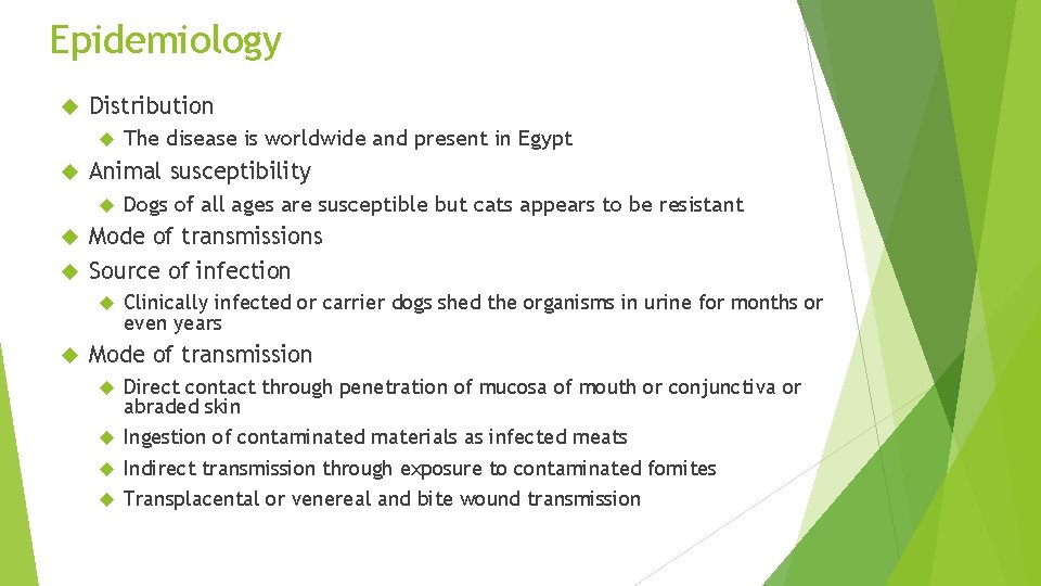 Epidemiology Distribution The disease is worldwide and present in Egypt Animal susceptibility Dogs of Epidemiology Distribution The disease is worldwide and present in Egypt Animal susceptibility Dogs of