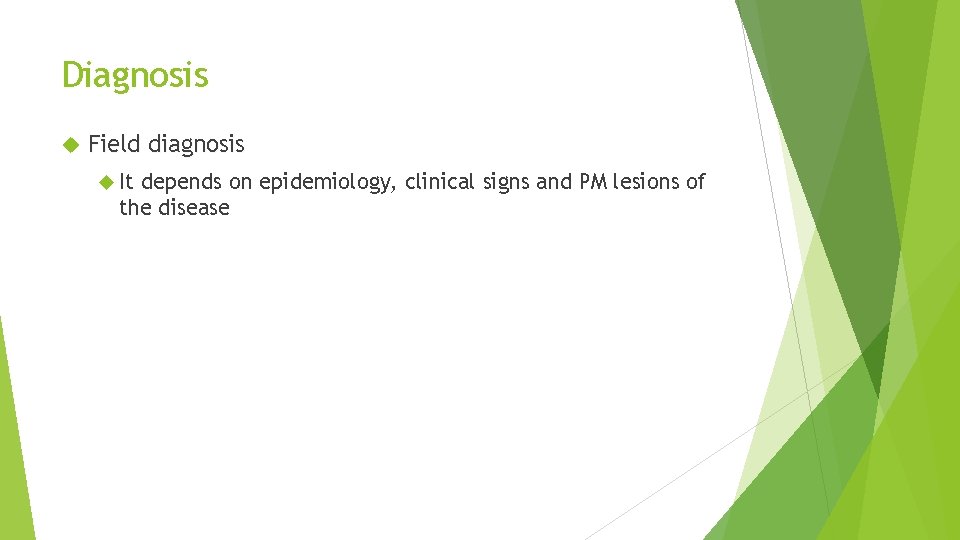Diagnosis Field diagnosis It depends on epidemiology, clinical signs and PM lesions of the Diagnosis Field diagnosis It depends on epidemiology, clinical signs and PM lesions of the
