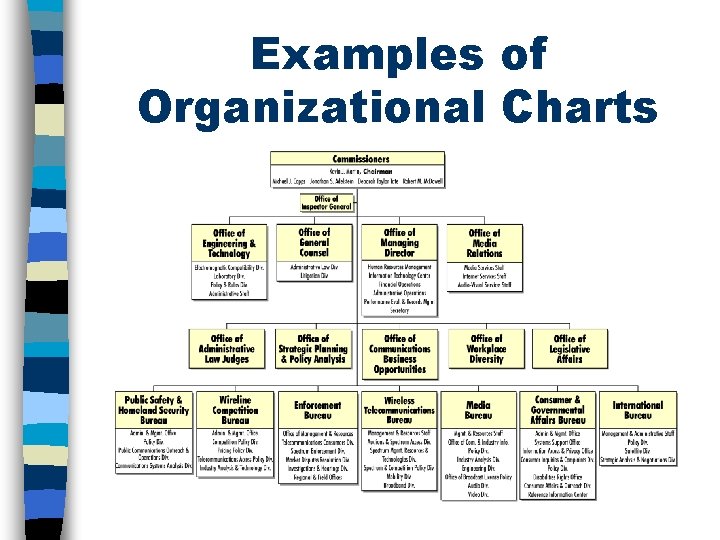 Examples of Organizational Charts 