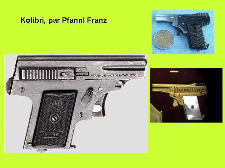 Kolibri, par Pfannl Franz 