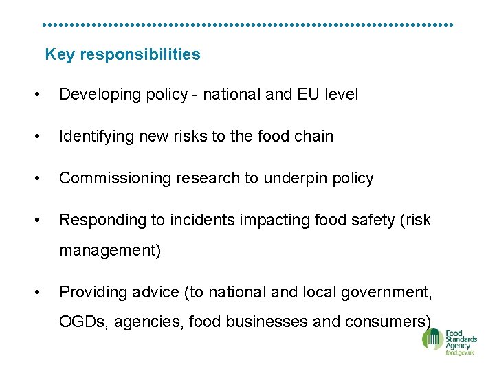 Key responsibilities • Developing policy - national and EU level • Identifying new risks