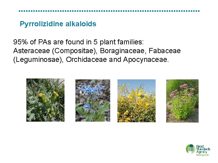 Pyrrolizidine alkaloids 95% of PAs are found in 5 plant families: Asteraceae (Compositae), Boraginaceae,