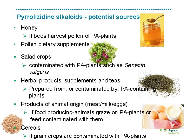 Pyrrolizidine alkaloids - potential sources • Honey Ø If bees harvest pollen of PA-plants