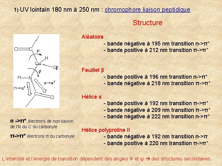 1) UV lointain 180 nm à 250 nm : chromophore liaison peptidique Structure Aléatoire