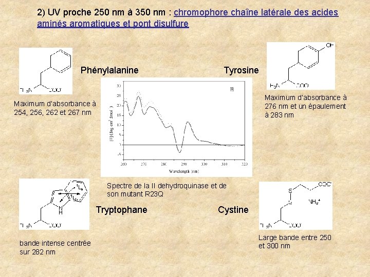 2) UV proche 250 nm à 350 nm : chromophore chaîne latérale des acides