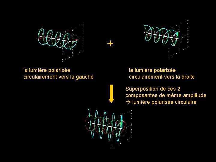 + la lumière polarisée circulairement vers la gauche la lumière polarisée circulairement vers la