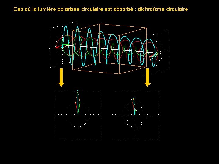 Cas où la lumière polarisée circulaire est absorbé : dichroïsme circulaire 