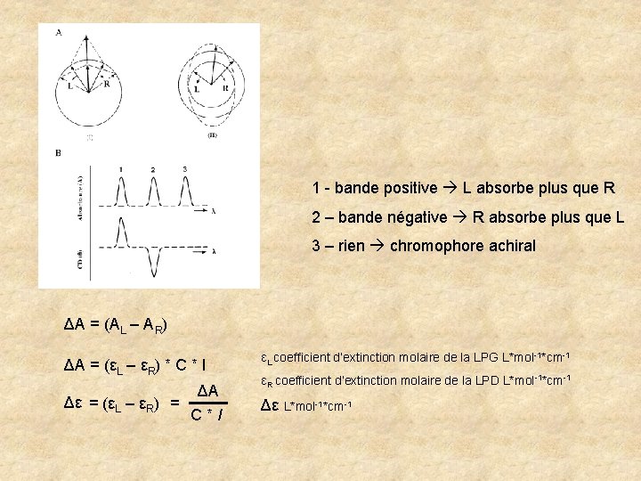 1 - bande positive L absorbe plus que R 2 – bande négative R