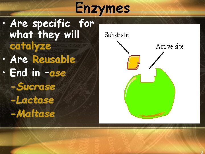 Enzymes • Are specific for what they will catalyze • Are Reusable • End