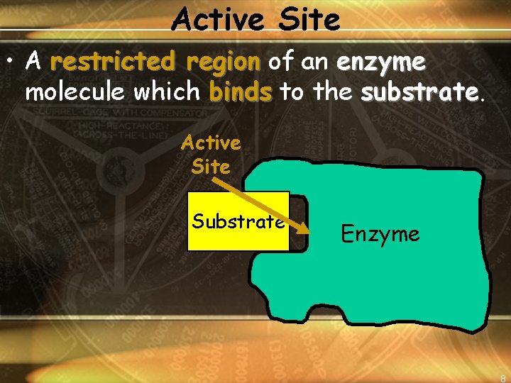 Active Site • A restricted region of an enzyme molecule which binds to the
