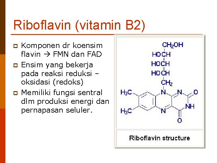 Riboflavin (vitamin B 2) p p p Komponen dr koensim flavin FMN dan FAD