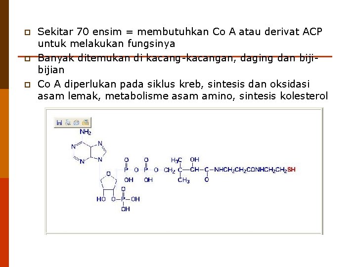 p p p Sekitar 70 ensim = membutuhkan Co A atau derivat ACP untuk