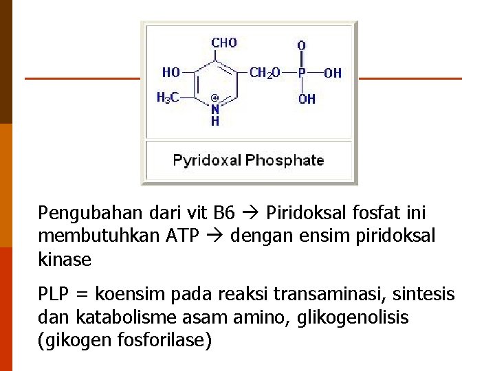 Pengubahan dari vit B 6 Piridoksal fosfat ini membutuhkan ATP dengan ensim piridoksal kinase