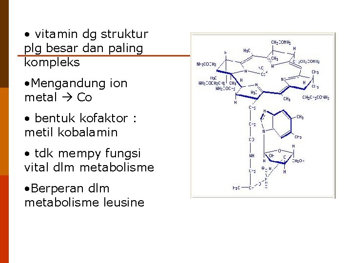  • vitamin dg struktur plg besar dan paling kompleks • Mengandung ion metal