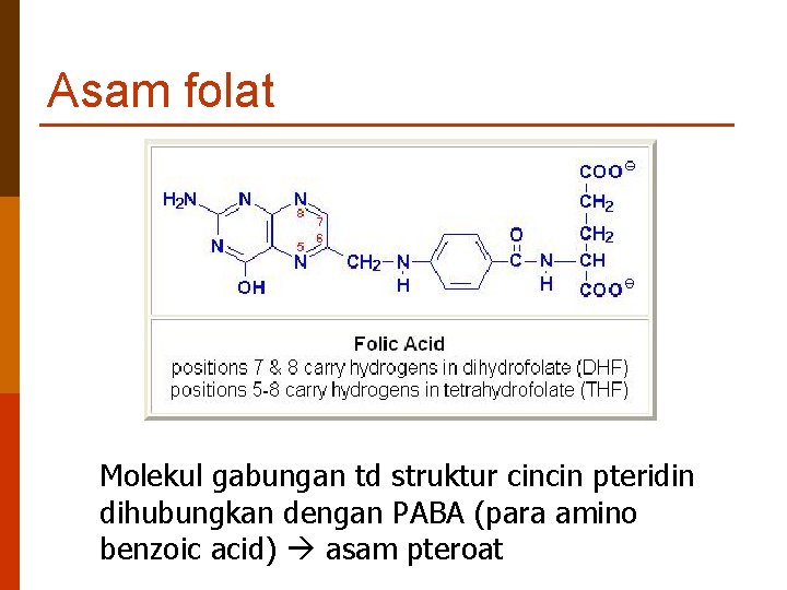 Asam folat Molekul gabungan td struktur cincin pteridin dihubungkan dengan PABA (para amino benzoic