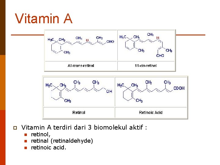 Vitamin A p Vitamin A terdiri dari 3 biomolekul aktif : n n n