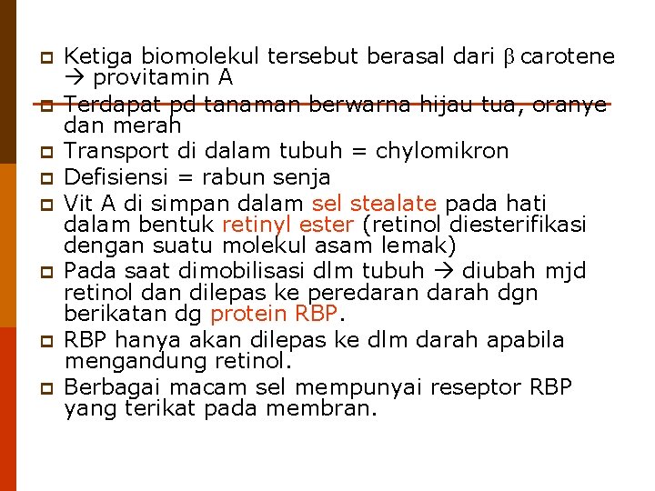 p p p p Ketiga biomolekul tersebut berasal dari β carotene provitamin A Terdapat