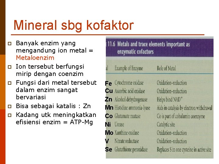 Mineral sbg kofaktor p p p Banyak enzim yang mengandung ion metal = Metaloenzim