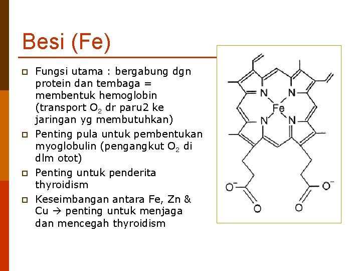 Besi (Fe) p p Fungsi utama : bergabung dgn protein dan tembaga = membentuk