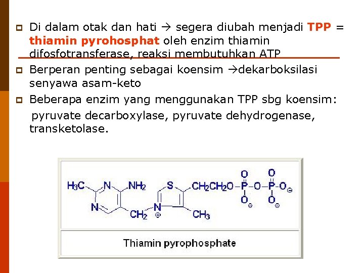 p p p Di dalam otak dan hati segera diubah menjadi TPP = thiamin