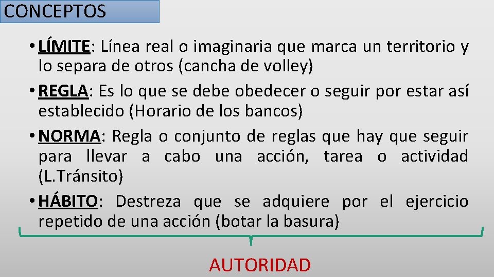 CONCEPTOS • LÍMITE: Línea real o imaginaria que marca un territorio y lo separa