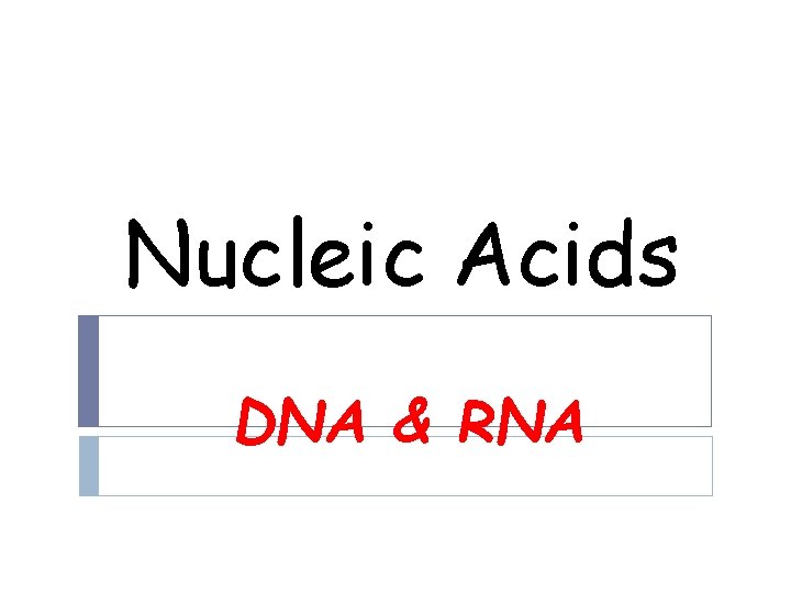 Nucleic Acids DNA & RNA 