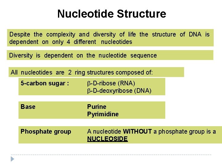 Nucleotide Structure Despite the complexity and diversity of life the structure of DNA is