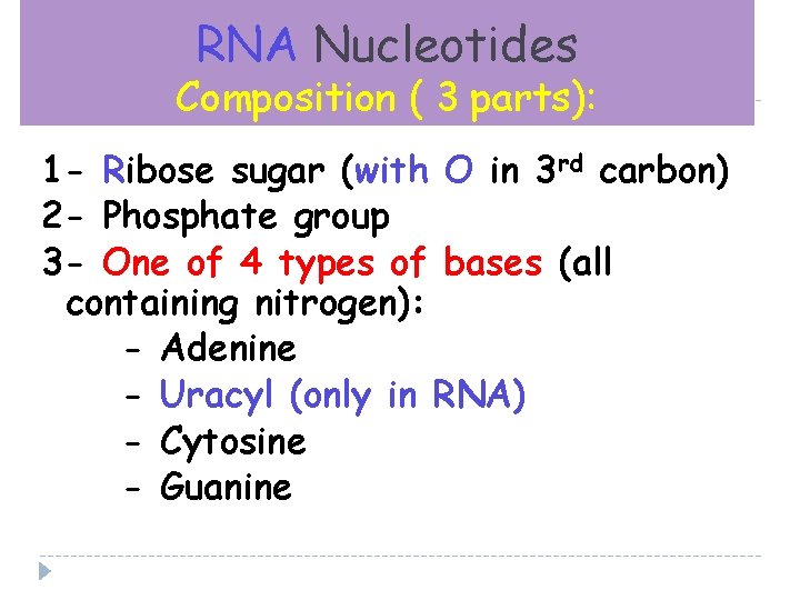 RNA Nucleotides Composition ( 3 parts): 1 - Ribose sugar (with O in 3