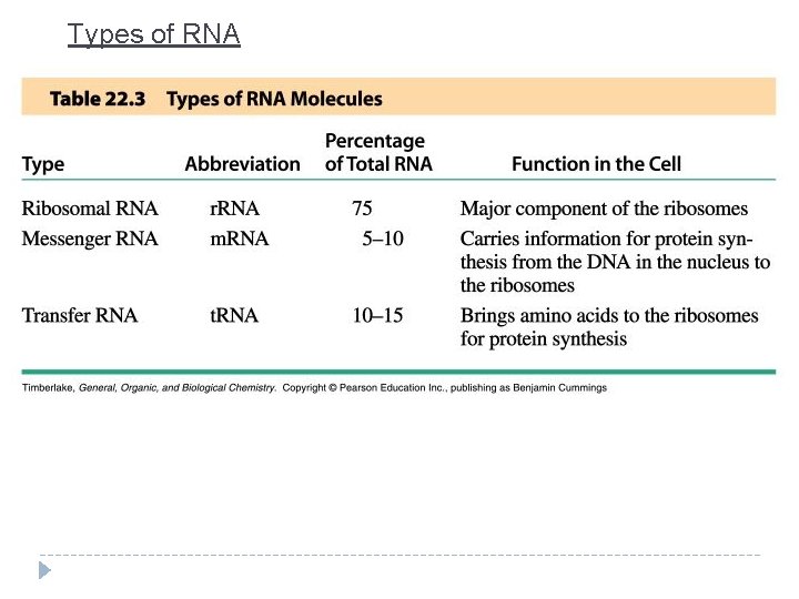 Types of RNA 