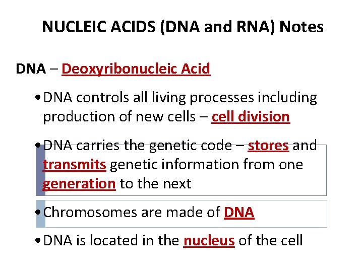 NUCLEIC ACIDS (DNA and RNA) Notes DNA – Deoxyribonucleic Acid • DNA controls all