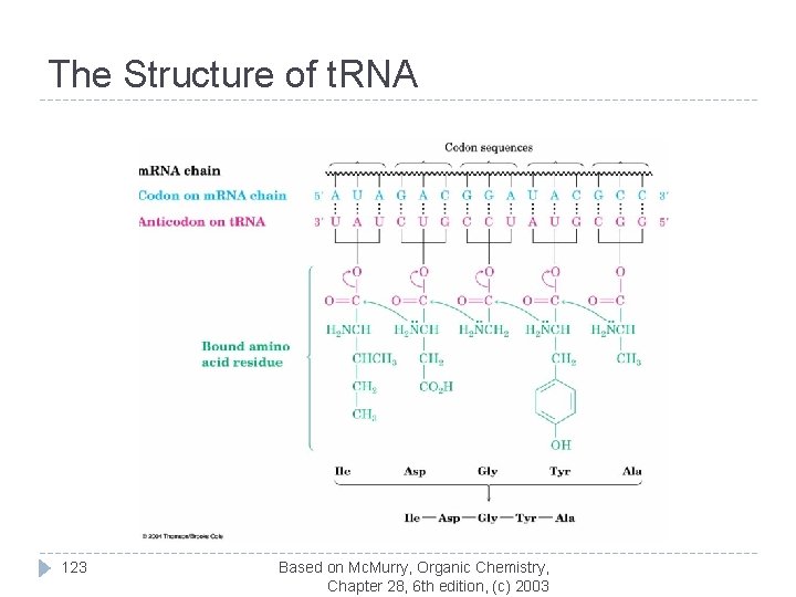 The Structure of t. RNA 123 Based on Mc. Murry, Organic Chemistry, Chapter 28,