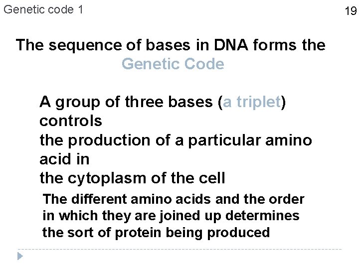 Genetic code 1 The sequence of bases in DNA forms the Genetic Code A