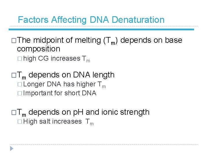 Factors Affecting DNA Denaturation �The midpoint of melting (Tm) depends on base composition �