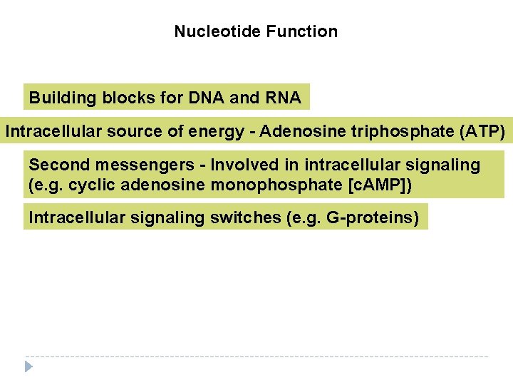 Nucleotide Function Building blocks for DNA and RNA Intracellular source of energy - Adenosine