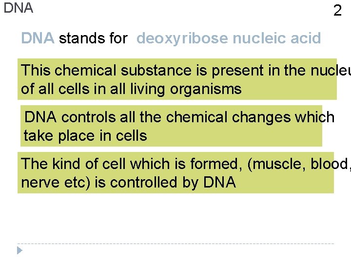 DNA 2 DNA stands for deoxyribose nucleic acid This chemical substance is present in