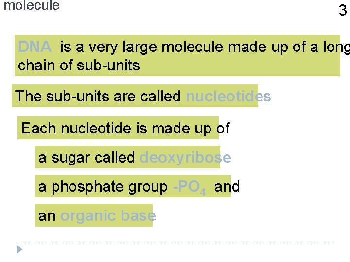 molecule 3 DNA is a very large molecule made up of a long chain