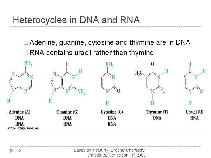 Heterocycles in DNA and RNA � Adenine, guanine, cytosine and thymine are in DNA