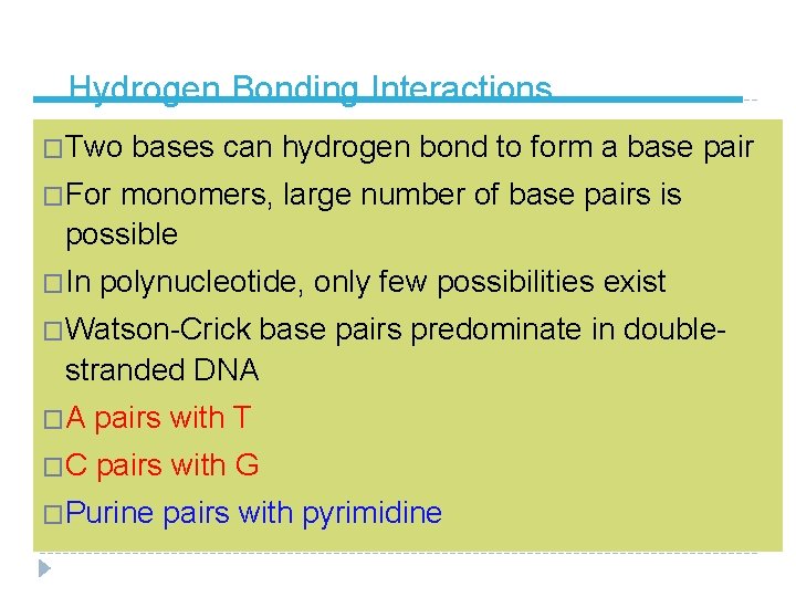 Hydrogen Bonding Interactions �Two bases can hydrogen bond to form a base pair �For