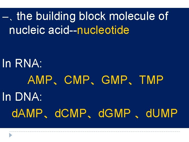 一、the building block molecule of nucleic acid--nucleotide In RNA: AMP、CMP、GMP、TMP In DNA: d. AMP、d.
