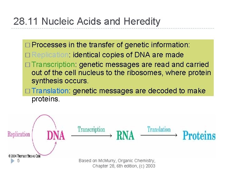 28. 11 Nucleic Acids and Heredity � Processes in the transfer of genetic information: