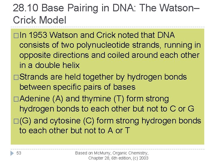 28. 10 Base Pairing in DNA: The Watson– Crick Model �In 1953 Watson and