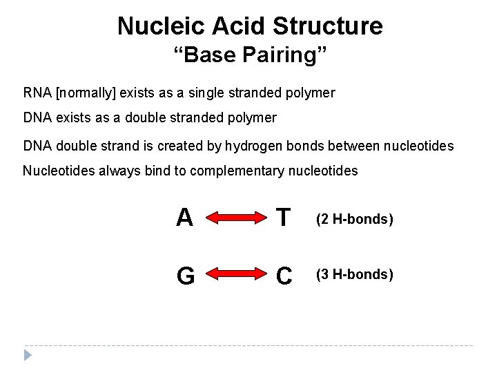 Nucleic Acid Structure “Base Pairing” RNA [normally] exists as a single stranded polymer DNA